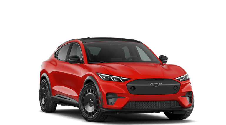 Mustang Mach-E® vehicle